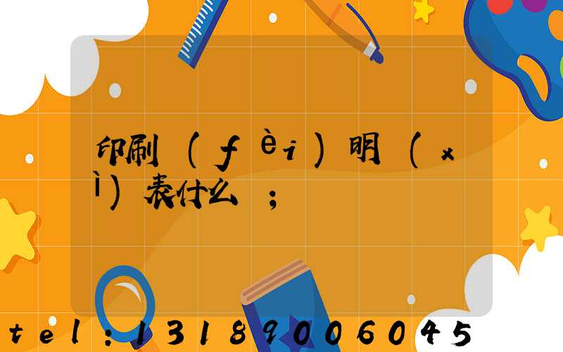 印刷費(fèi)明細(xì)表什么樣