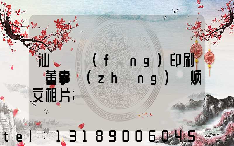 汕頭東風(fēng)印刷廠董事長(zhǎng)黃炳文相片