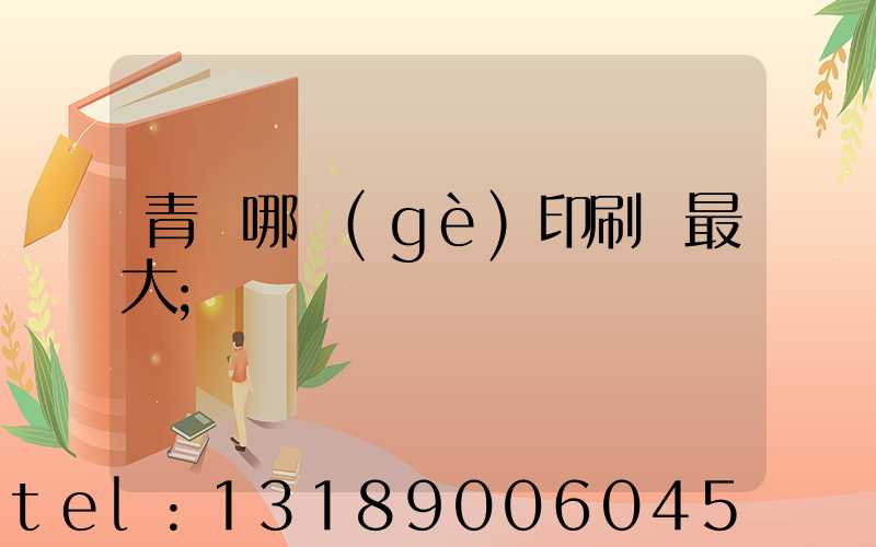 青島哪個(gè)印刷廠最大